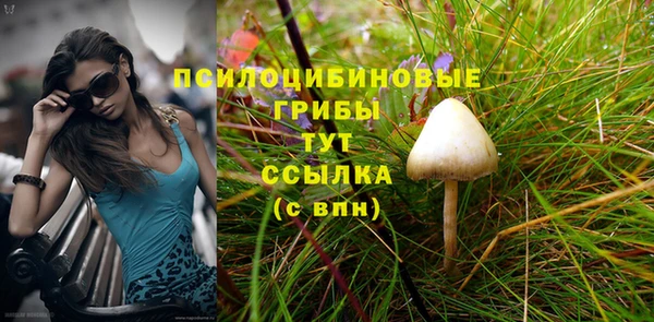 каннабис Новокубанск