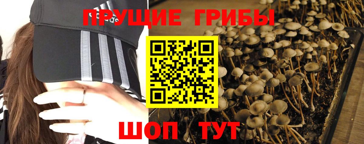 Лангепас  Галлюциногенные грибы ЛСД  Галлюциногенные грибы прущие грибы  Вход с VPN 